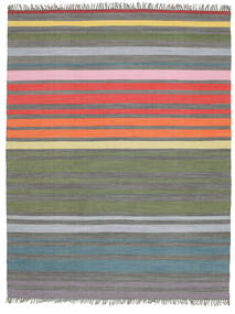  Rainbow Stripe - Wielobarwne Dywan 200X250 Nowoczesny Tkany Ręcznie Wielobarwne (Bawełna, Indie)