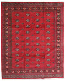  Pakistański Bucharski 3Ply Dywan 248X307 Orientalny Tkany Ręcznie Czerwony/Ciemnoczerwony (Wełna, Pakistan )